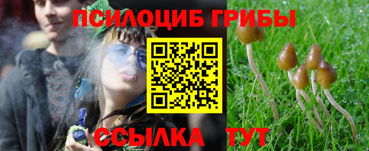 Галлюциногенные грибы Psilocybe  Вход с VPN  Кириши 