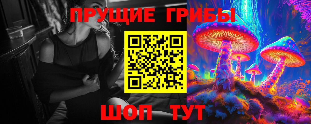 Псилоцибиновые грибы Cubensis Кириши